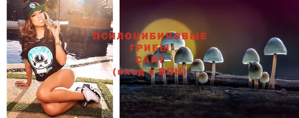 дурь Вязьма