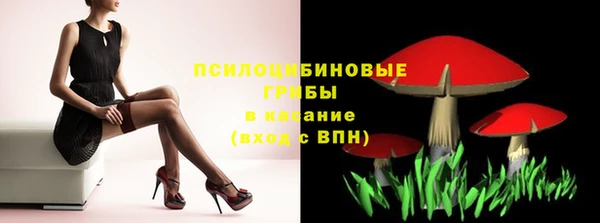 дурь Вязьма