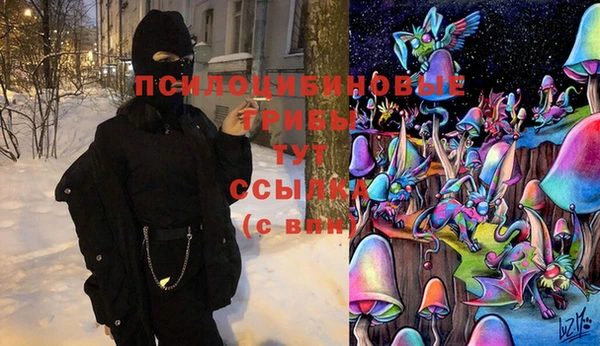 СК Горно-Алтайск